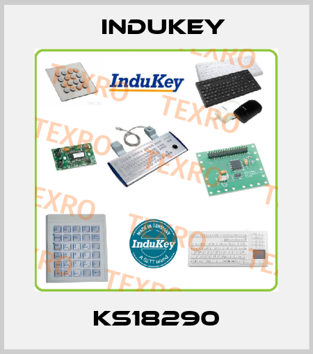 KS18290 InduKey
