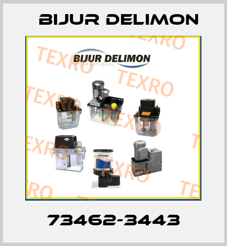 73462-3443 Bijur Delimon
