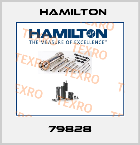 79828 Hamilton