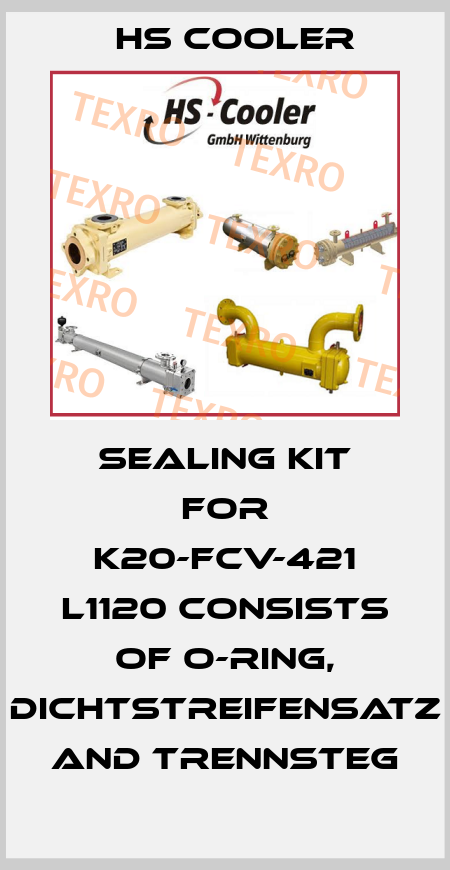 Sealing kit for K20-FCV-421 L1120 consists of O-Ring, Dichtstreifensatz and Trennsteg HS Cooler