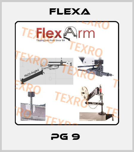 PG 9  Flexa