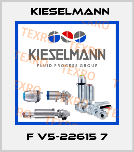 F V5-22615 7 Kieselmann