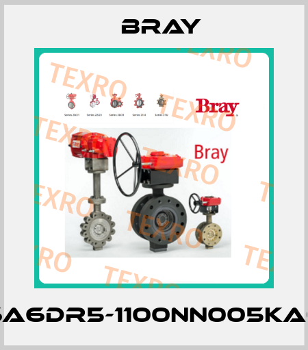 6A6DR5-1100NN005KA0 Bray