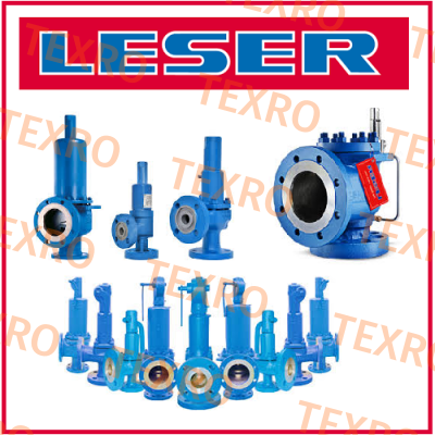 spare part: Spring with washers for Valve API 526 Leser