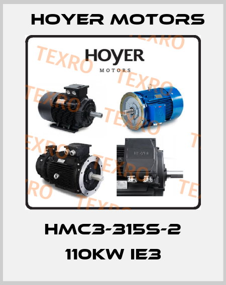 HMC3-315S-2 110kW IE3 Hoyer Motors