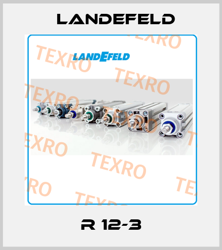 R 12-3 Landefeld