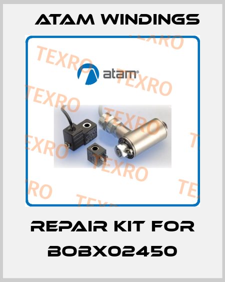 Repair kit for BOBX02450 Atam Windings