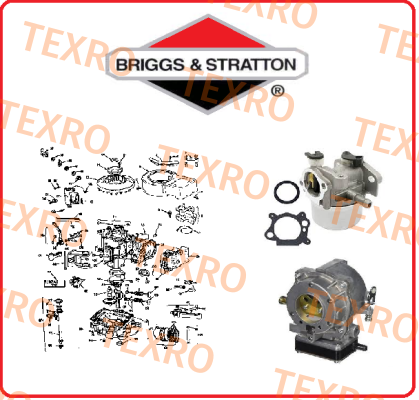 796181 Briggs-Stratton