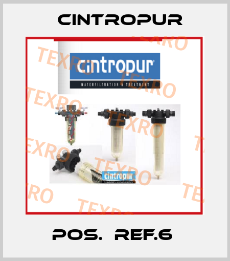 POS.  REF.6  Cintropur