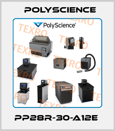 PP28R-30-A12E  Polyscience
