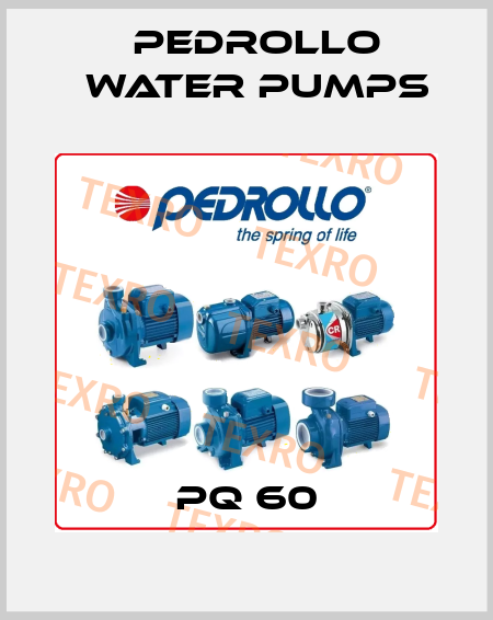 PQ 60 Pedrollo Water Pumps