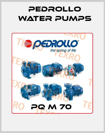 PQ m 70  Pedrollo Water Pumps
