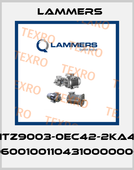 1TZ9003-0EC42-2KA4 (06001001104310000000) Lammers
