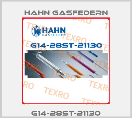 G14-28ST-21130 Hahn Gasfedern