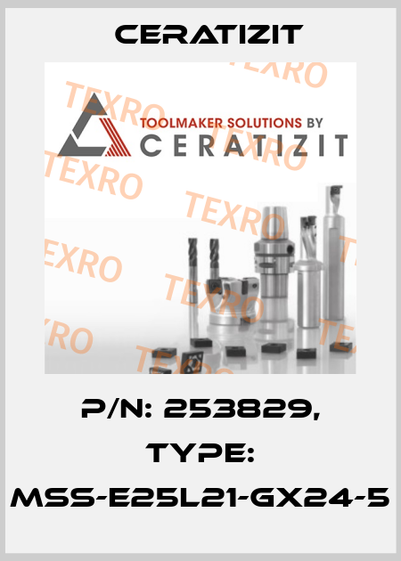 P/N: 253829, Type: MSS-E25L21-GX24-5 Ceratizit