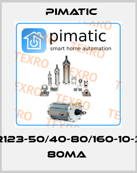 PTKR123-50/40-80/160-10-3024 80MA  Pimatic