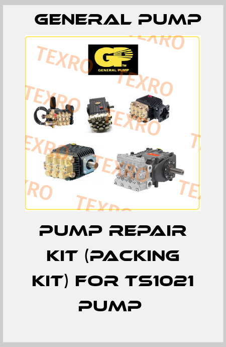 PUMP REPAIR KIT (PACKING KIT) FOR TS1021 PUMP  General Pump