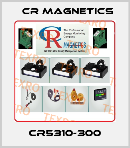 CR5310-300 Cr Magnetics