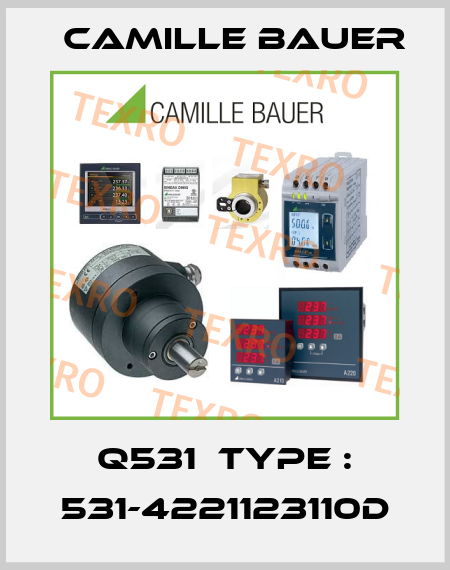 Q531  TYPE : 531-4221123110D Camille Bauer