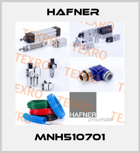 MNH510701 Hafner