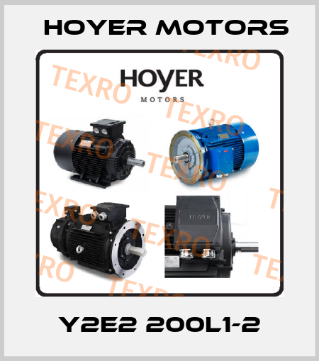 Y2E2 200L1-2 Hoyer Motors