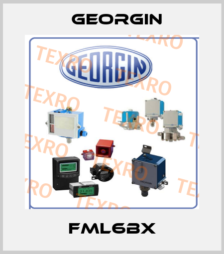 FML6BX Georgin