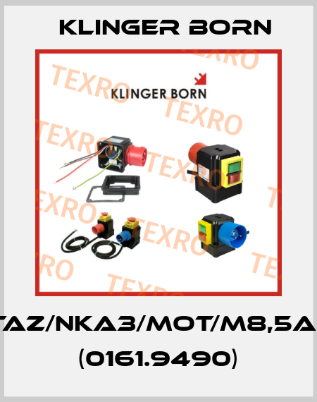 K900/TAZ/NKA3/Mot/M8,5A/KL-v.P (0161.9490) Klinger Born