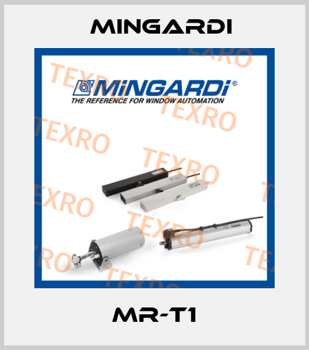 MR-T1 Mingardi