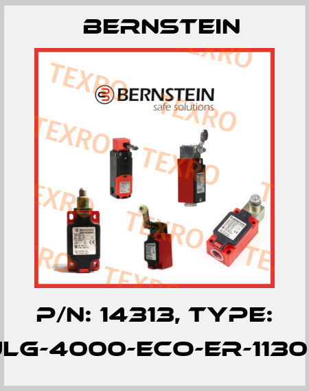 P/N: 14313, Type: SULG-4000-ECO-ER-1130-14 Bernstein