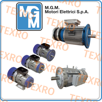 BA 180 LB4 (BA180LB4-B5-400/690V) M.G.M MOTORI