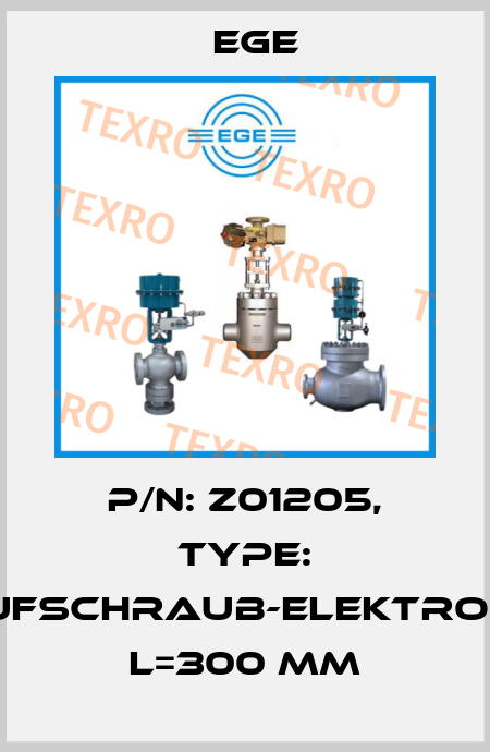 p/n: Z01205, Type: Aufschraub-Elektrode L=300 mm Ege