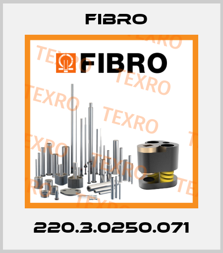 220.3.0250.071 Fibro