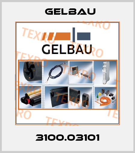 3100.03101 Gelbau