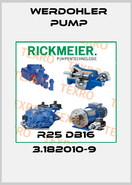 R25 DB16 3.182010-9  Werdohler Pump