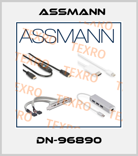 DN-96890 Assmann
