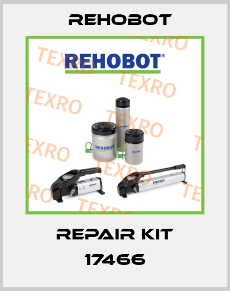 Repair kit 17466 Rehobot