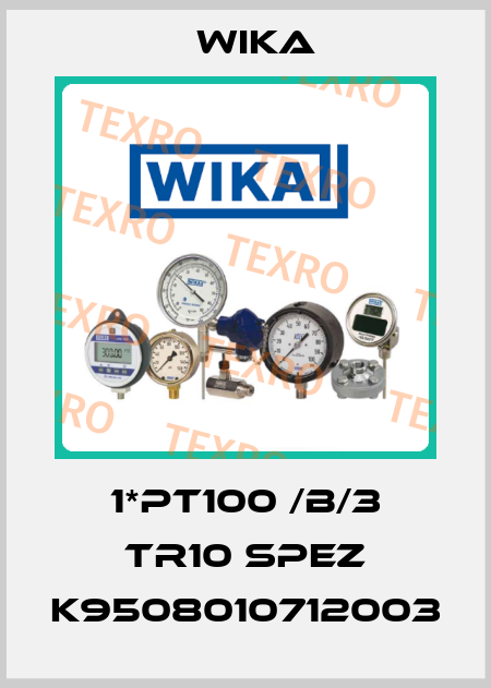 1*PT100 /B/3 TR10 SPEZ K9508010712003 Wika
