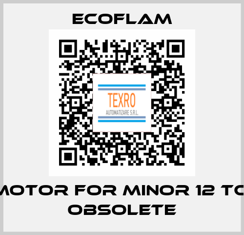 motor for MINOR 12 TC  obsolete ECOFLAM