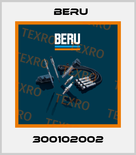 300102002 Beru