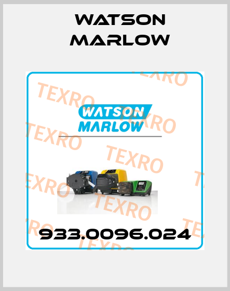 933.0096.024 Watson Marlow