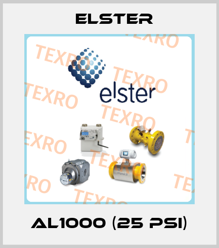 AL1000 (25 Psi) Elster