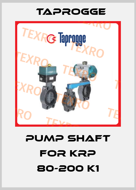 Pump Shaft for KRP 80-200 K1 Taprogge