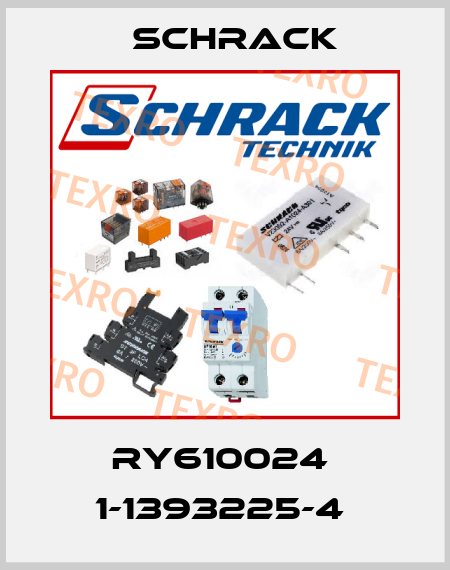 RY610024  1-1393225-4  Schrack