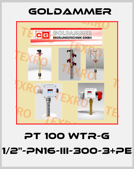 PT 100 WTR-G 1/2"-PN16-III-300-3+PE Goldammer