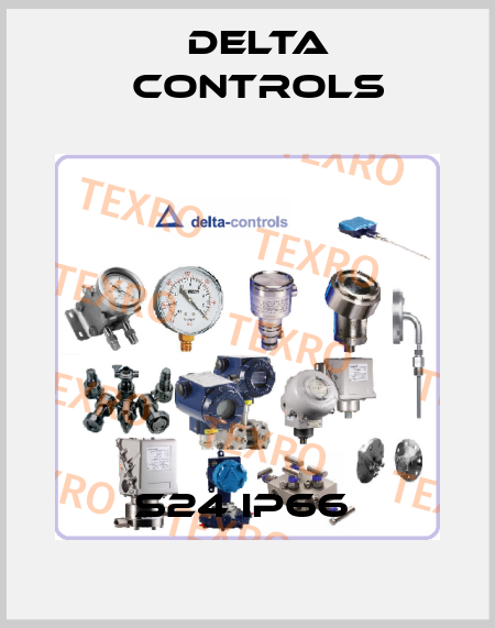 S24 IP66  Delta Controls
