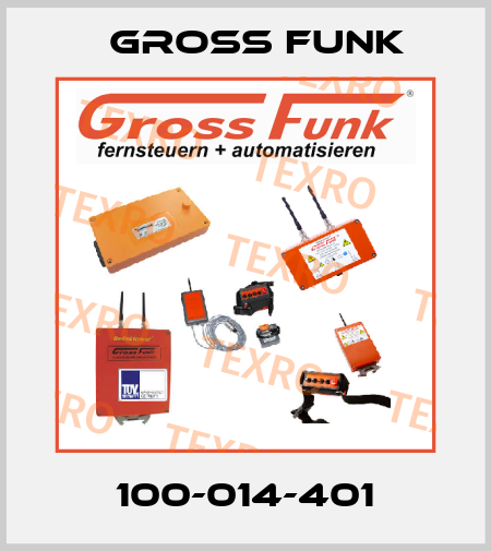 100-014-401 Gross Funk