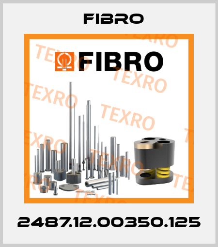 2487.12.00350.125 Fibro