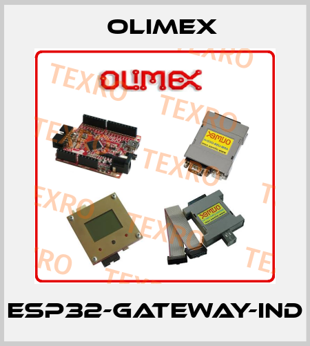 ESP32-GATEWAY-IND Olimex
