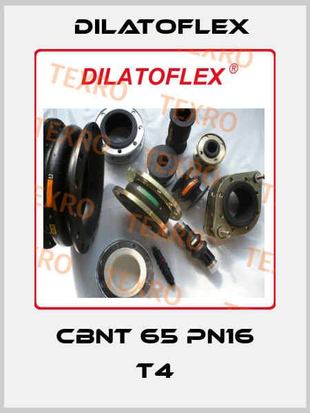 CBNT 65 PN16 T4 DILATOFLEX