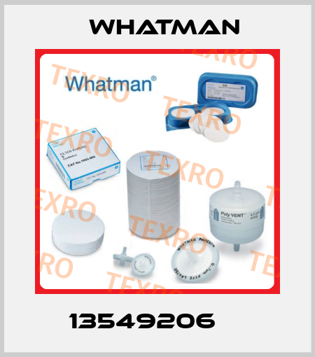 13549206     Whatman